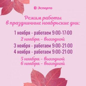 Режим работы в праздничные ноябрьские дни